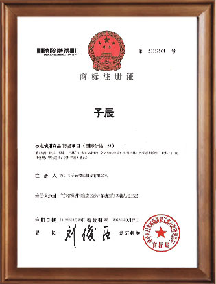 Trademark Registration Certificate